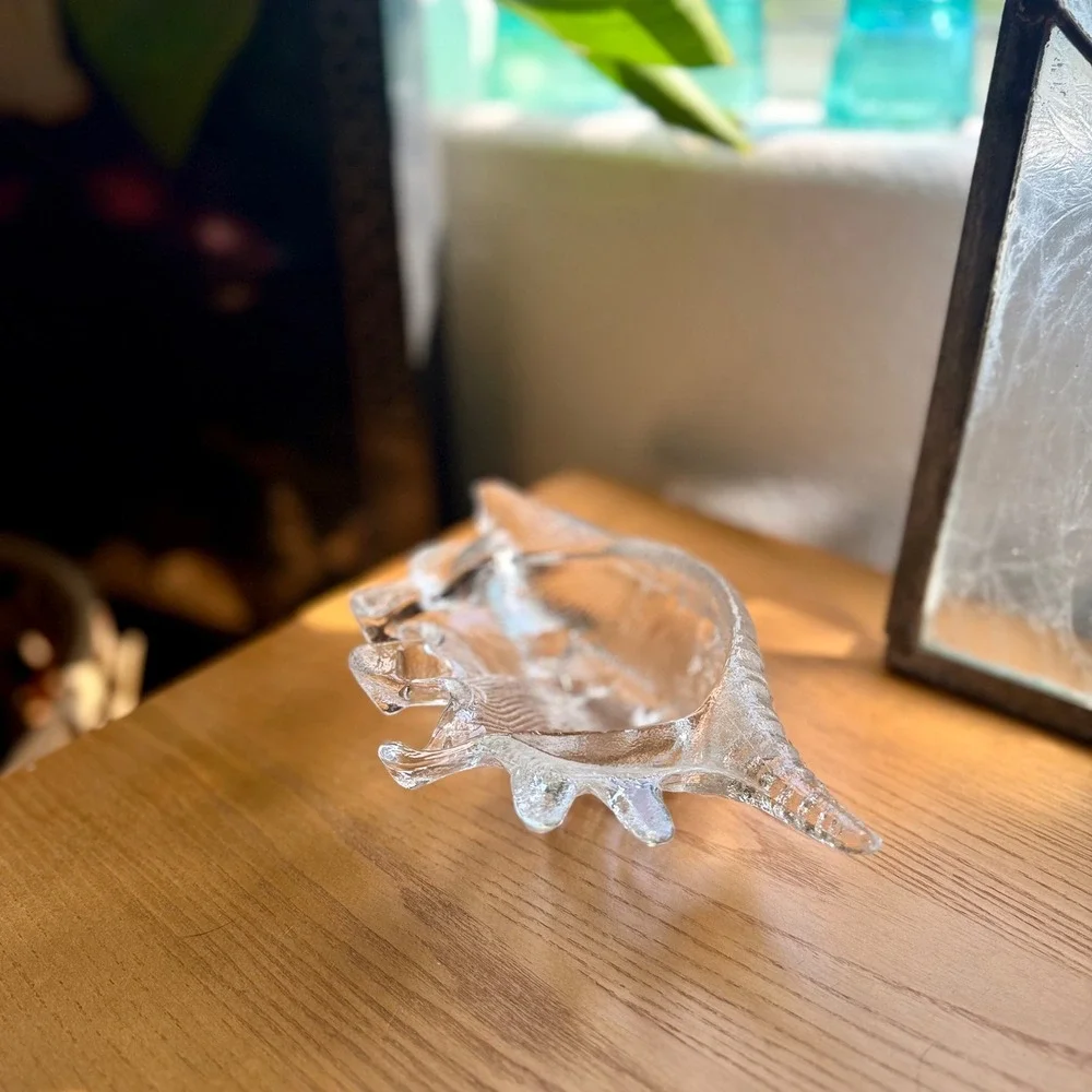 Vintage Clear Glass Conch Shell Catchall Dish – Coastal Trinket Bowl